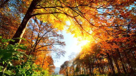 Vremea o ia razna în toată țara. Urmează temperaturi neobișnuite