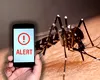 Țânțarii nu dispar toamna: 83 de cazuri de West Nile și 5 morți în România