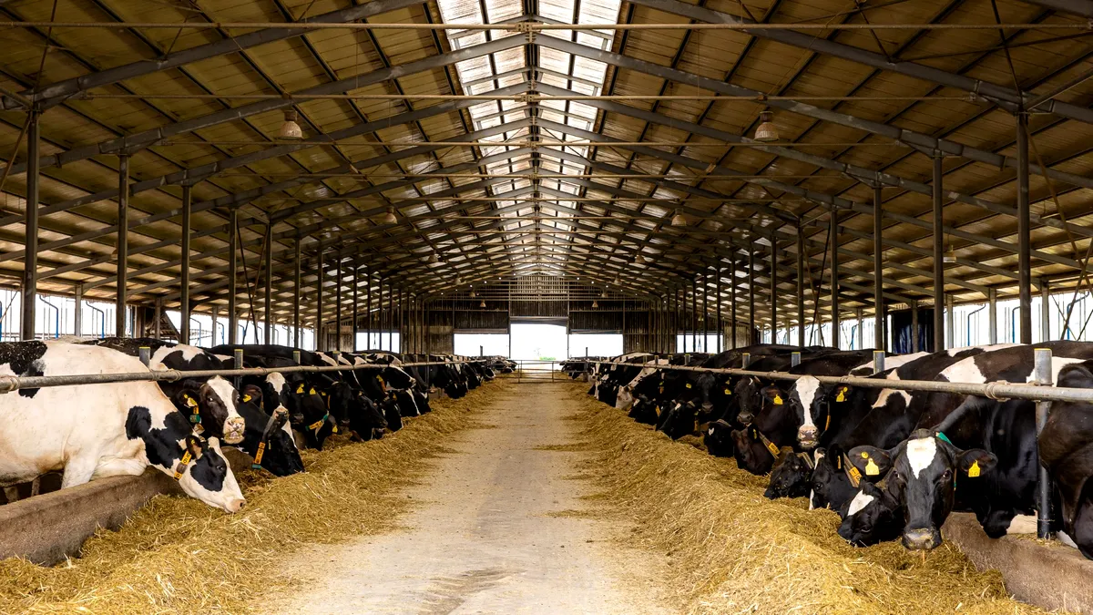 Afacerea care scoate milioane de euro din bălegar