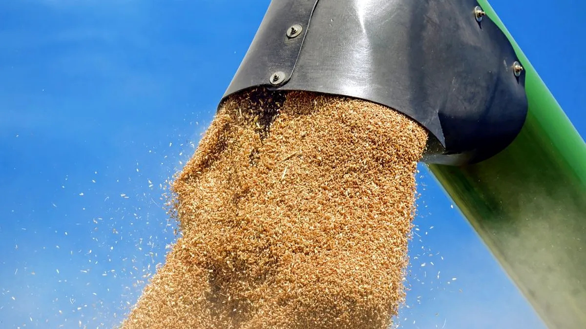 România a vândut 800.000 de tone de cereale, de când au început luptele în Ucraina. Ce se caută
