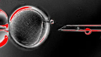 Oamenii de știință au încercat să cloneze clone la nesfârșit. Nu s-a terminat bine