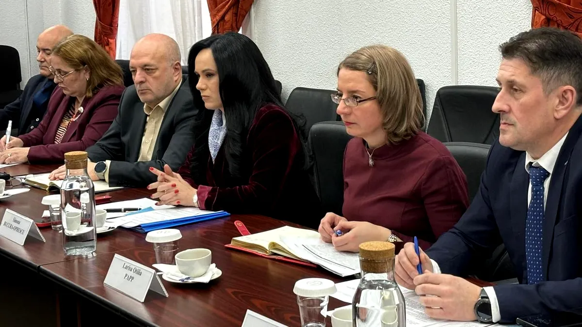 Simona Bucura Oprescu, întâlnire cu reprezentanții Camerei de Comerț Americane în România. Ce s-a discutat