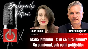 Tiberiu Boșutar: „Mafia lemnului controlează o treime din România”. Mecanismele din spatele tăierilor ilegale de păduri