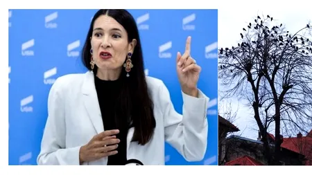 Clotilde Armand a trimis la Prefectură un document fals, altul decât cel votat de consilieri