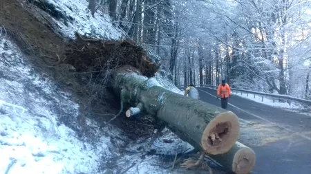Atenționare de trafic! Ninsoare, vânt și polei în zona de sud a țării
