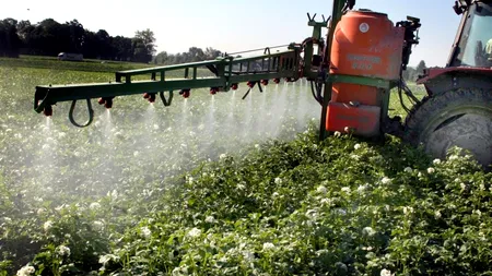 România sfidează legislaţia Uniunii Europene: Noi aprobări de urgenţă pentru pesticide interzise
