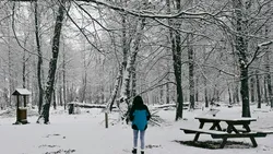 Pe urmele lui Eminescu. Unde sunt „Pădurea de Argint” și „Codrii de Aramă” şi cum le poţi vizita