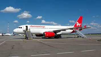 AnimaWings, compania aeriană a fraților Pandel, cere insolvența după ce și-a triplat afacerile în 2025, dar și-a înmulțit datoriile de aproape cinci ori