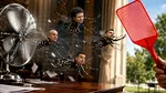 Supraviețuirea de acasă: țânțarul-tigru a devenit vecinul nostru. Cum ne apărăm?