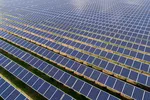 Mega-investiție verde în România: Parc fotovoltaic de 550 MW aprobat de ANRE în Giurgiu