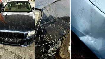 O haită de câini a „devorat” patru mașini în Arad. „Am rămas fără cuvinte”