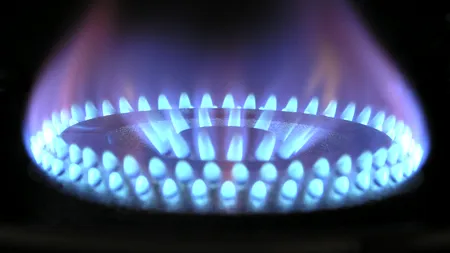 IEA avertizează Europa că trebuie să îşi reducă imediat consumul de gaze