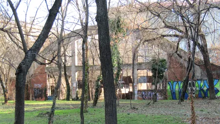 Un simbol al aviației românești zace în uitare. Hangarul lui Aurel Vlaicu se prăbușește