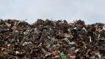 Ce presupune tratarea mecano-biologică? Informații utile pentru cetățeni din Sectorul 5