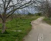Strada neasfaltată care a învins Primăria Arad în instanță: o femeie a câștigat 25.000 de lei de la primărie