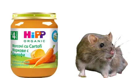 Alertă: otravă pentru șobolani, găsită în mâncare pentru bebeluși. Ce trebuie să verifice părinții la borcane