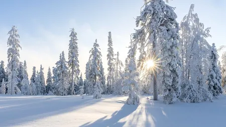 Val de frig extrem : -43 de grade Celsius în nordul Suediei