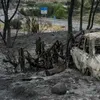 Incendiul din Spania: autoritățile au identificat toate victimele prin teste ADN. Din ce țări provin