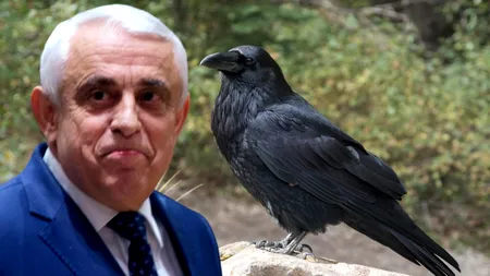 Petre Daea declară război ciorilor după episodul „cormoranii”
