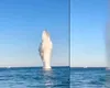 Alertă în Marea Neagră: dronă cu exploziv, detonată la câteva mile de Sulina (VIDEO)