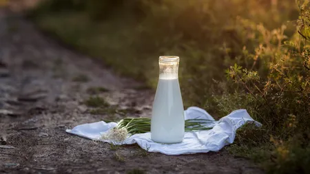 Laptele devine un lux: Scumpiri în lanț și noi majorări așteptate până la sărbători