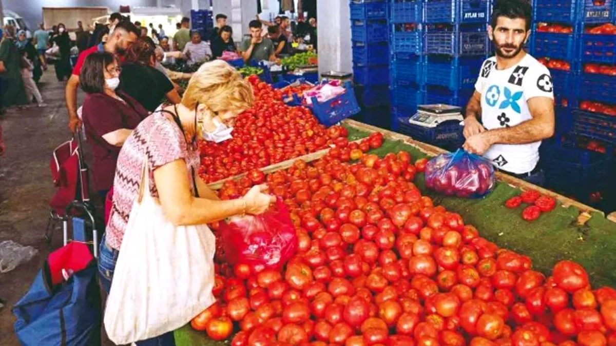Turcii limitează exporturile de conserve și pastă de roșii pentru a proteja piața internă