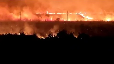 Incendiu în apropierea Penitenciarului Poarta Albă, Constanța