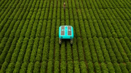 Google lucrează la un robot pentru ajutor în agricultură