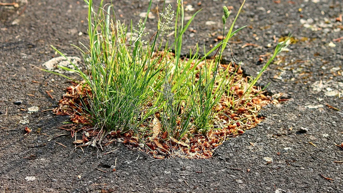 50 de milioane lei pentru repararea străzilor din București. Când încep lucrările?