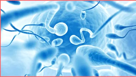 Plângere contra unui donator de spermă bănuit a fi tatăl a 550 de copii