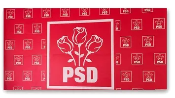 Cine sunt cumnații care candidează pe lista PSD București pentru Camera Deputaților