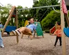 Un bărbat ar fi încercat să convingă mai mulți copii dintr-un parc să urce în mașina sa