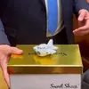 USR descoperă integritatea cu o cutie de pantofi. Gestul teatral din Parlament nu ține loc de reformă