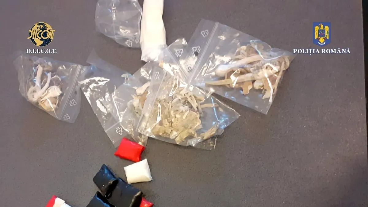 Droguri la Sunawaves: un bărbat a fost prins cu amfetamină, MDMA, ketamină, capsule cu 2C-I, methoxetamine, 2C-B