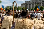 Oierii dau Guvernului termen până în septembrie. Următorul protest poate bloca drumurile