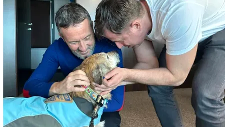 Hubert Thuma, mesaj important de Ziua Internațională a Câinilor: Adopția și sterilizarea în masă fac real diferența