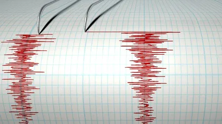 Cutremure în Vrancea și Gorj, duminică