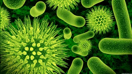 OMS: Lista cu bacteriile rezistente la medicamente, care amenință sănătatea la nivel planetar