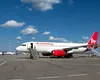 AnimaWings, compania aeriană a fraților Pandel, cere insolvența după ce și-a triplat afacerile în 2025, dar și-a înmulțit datoriile de aproape cinci ori