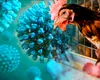 OMS: „Transmiterea gripei aviare la om reprezintă o îngrijorare enormă!”