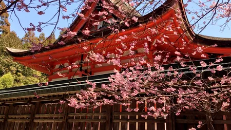 Cele mai frumoase locuri din Japonia, fascinanta țară de la capătul pământului