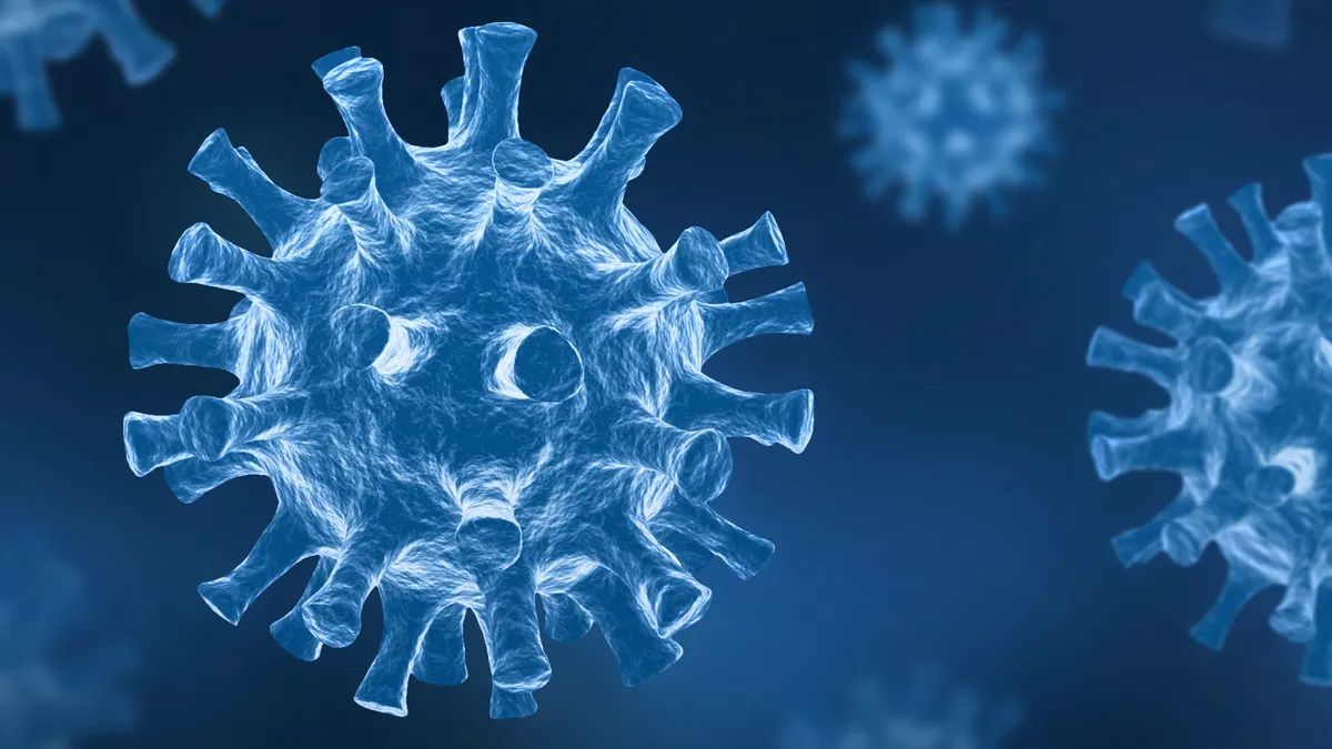 Un nou coronavirus descoperit în Wuhan, China. Cât de periculos este pentru oameni