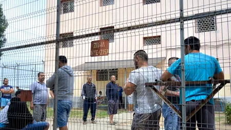 Terapie cu câini pentru deținuții din penitenciare