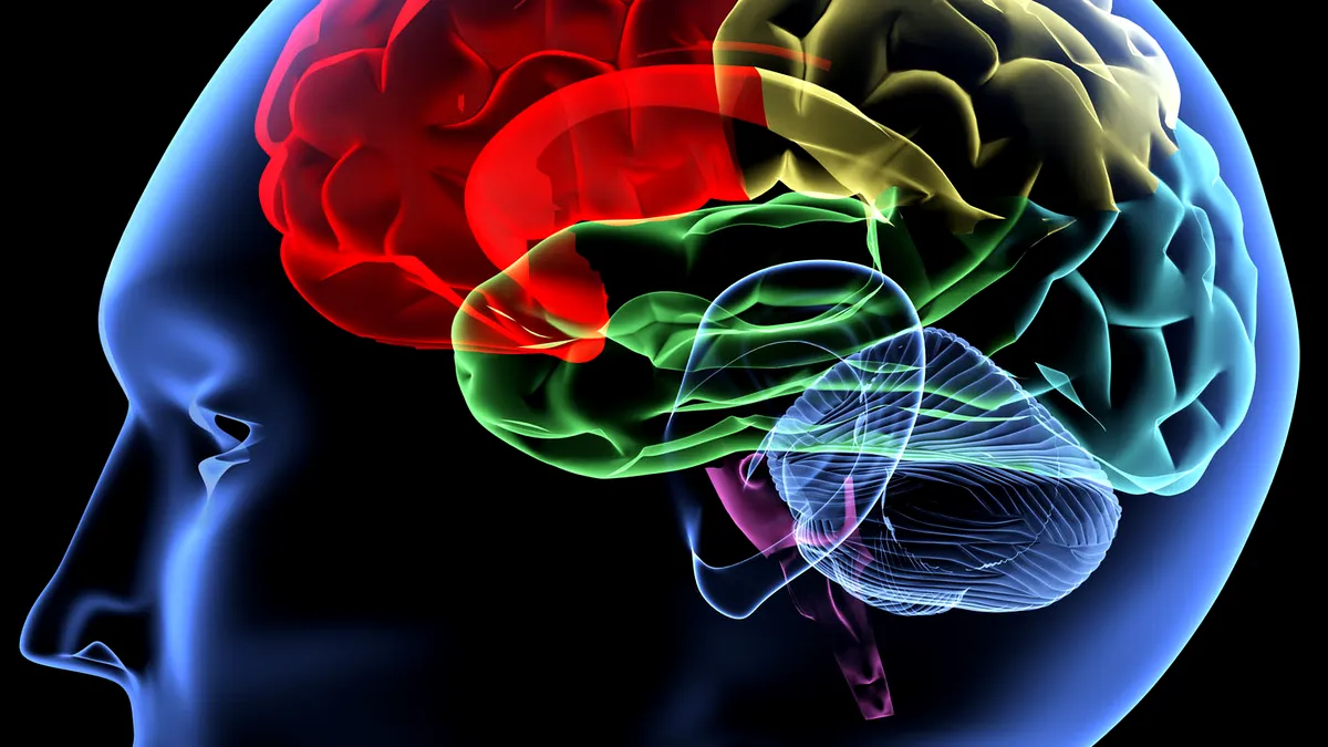 Un celebru neurolog a descoperit cum poți să îți îmbunătățești sănătatea mentală. Pe lângă adoptarea unui stil de viață sănătos, mai există un element-cheie: „Încerc să evit plictiseala”