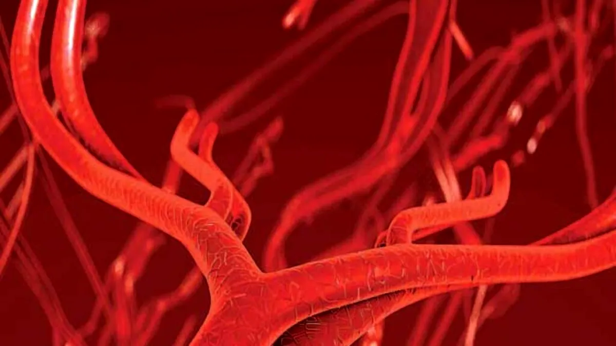 Mai puține boli cardiovasculare cu ajutorul vaselor de sânge ”fabricate” în laborator