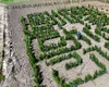 Labirint verde pentru cei mici, creat într-o comună din Dolj