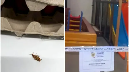 Controale ANPC cu rezultate alarmante în București. Mizerie, produse expirate și pericole pentru copii