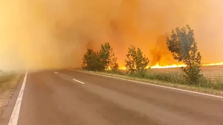 Incendiu devastator de vegetație în apropierea Bucureștiului