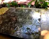 O piatră funerară veche de 1.900 de ani, descoperită în curtea unei case din New Orleans (SUA)