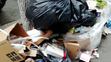 Romprest amenință că nu va mai ridica gunoiul din Sectorul 1 din 11 februarie